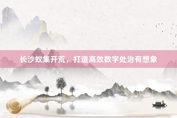 长沙蚁集开荒，打造高效数字处治有想象